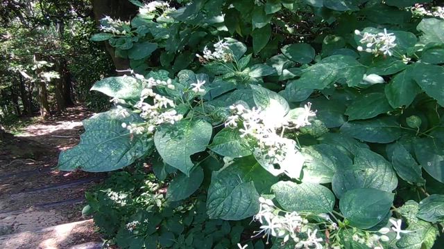 神戸観光続きの記事動画