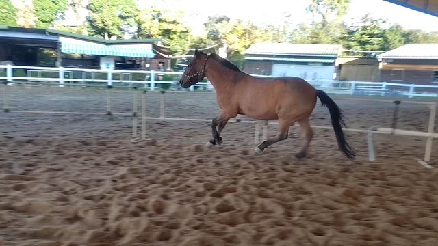 12月始まりました。の記事動画