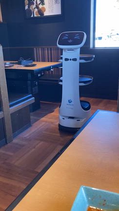 初めての「焼肉きんぐ」で夫婦そろって右往左往の巻の記事動画