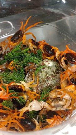 沢蟹の記事動画