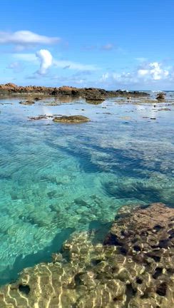 奄美大島③あやまる岬とウンギャル丼の記事動画