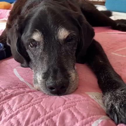 2024/11/04の記事動画