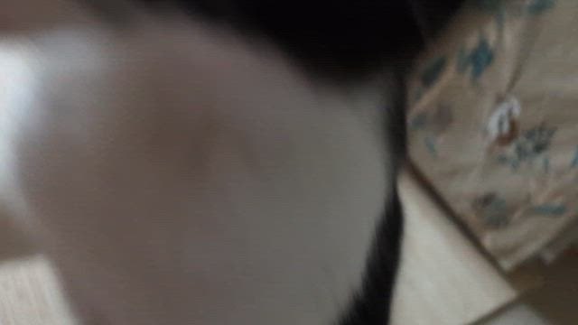 寝坊したの記事動画