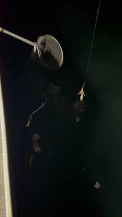 寒ダコの記事動画