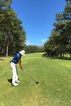 ショッキングな事が…の記事動画