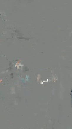 幸せきっぷ(ポン)の記事動画