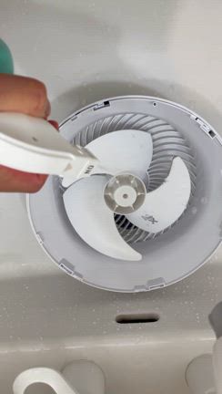 いいことが起きる気しかしないの記事動画