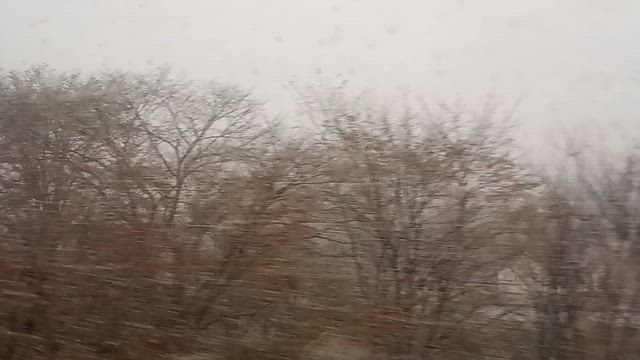 晩秋旅 2025 新札幌・ちょこっと帰勝の記事動画