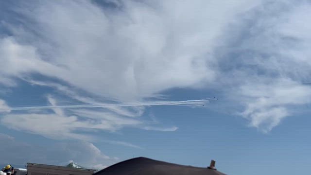 万博に行ってきた‼︎①の記事動画