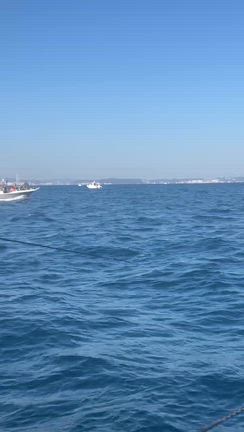 悪戦苦悶の皆様〜@東京湾フィッシングの記事動画