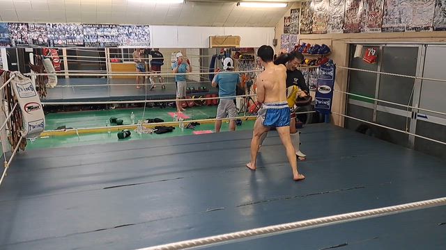 初練習の記事動画