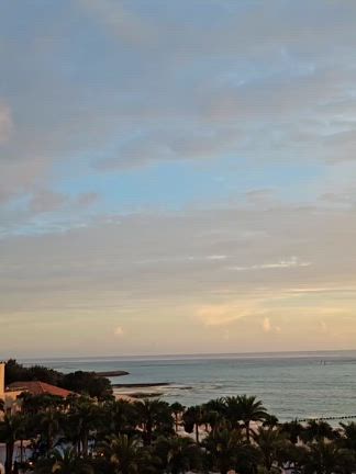 2025/08/03の記事動画