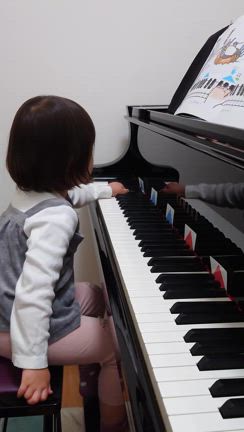 急成長！３歳さんのレッスンの記事動画