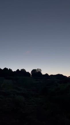 明日１４日も品種はわくわくコーンの記事動画