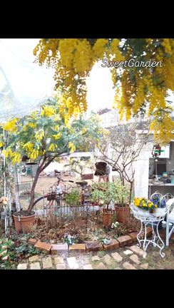 2026/03/03の記事動画