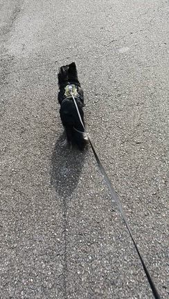 　　　ハーネス新の記事動画