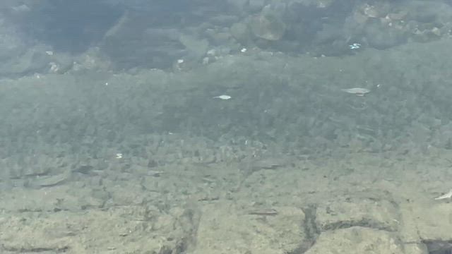 もう凹まない♡アラカン世代の「えーっと、あの、ほらほら症候群」との上手な付き合い方の記事動画