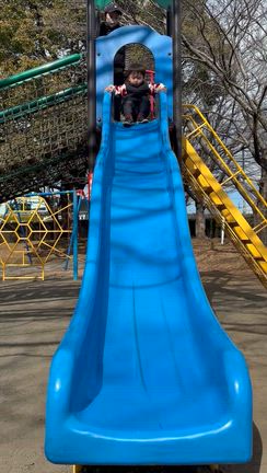 強かった僕の記事動画