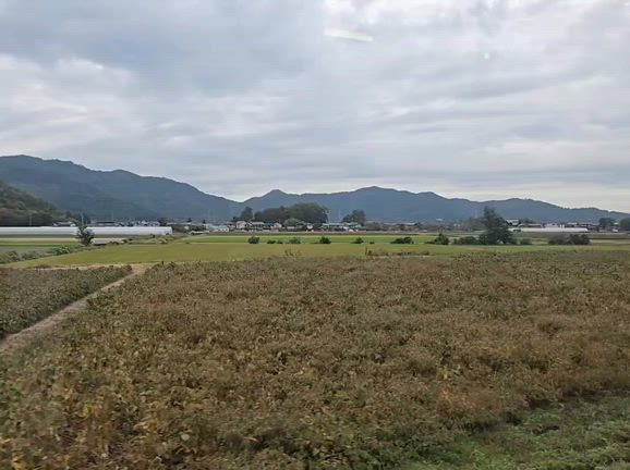 近江鉄道でGO その2の記事動画