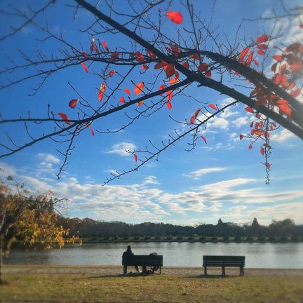 ふらっとお散歩の記事動画