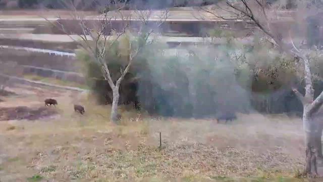 聖者の行進の記事動画