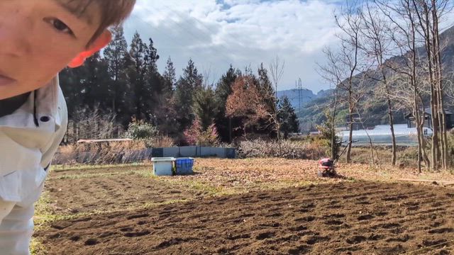 苦手な事は引き受けます✌️の記事動画