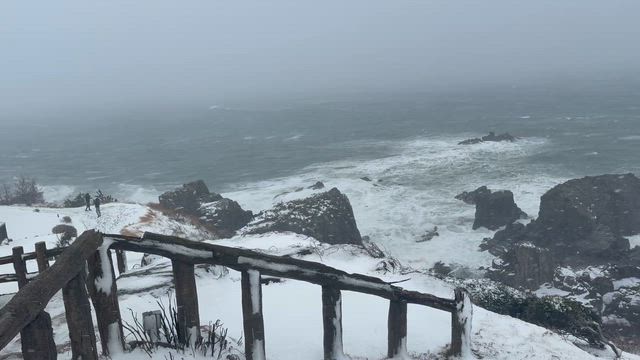 ②迷子の億万長者【シアトルPと北陸石川福井編】の記事動画