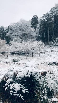 真っ暗闇の世界から真っ白の世界へ。の記事動画