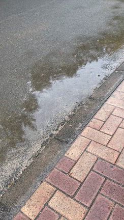 臣祐さんのプロフィールページ