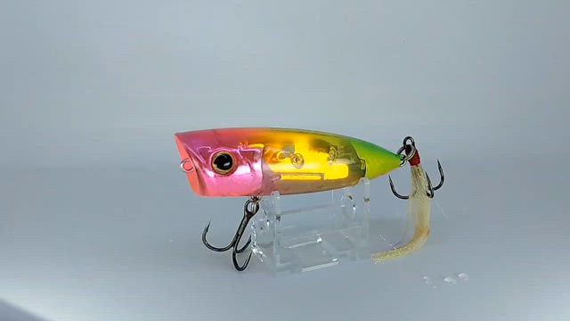 トップウォータープラグでクロダイ狙いの記事動画