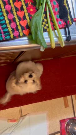 やっちゃんさんのプロフィールページ