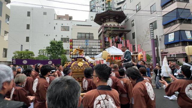 神田祭 やげん堀でお神輿担ぎました！の記事動画