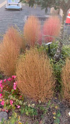 いけばな奉仕の記事動画