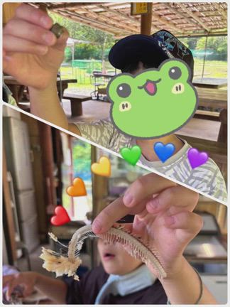 蓬山フィッシングの記事動画