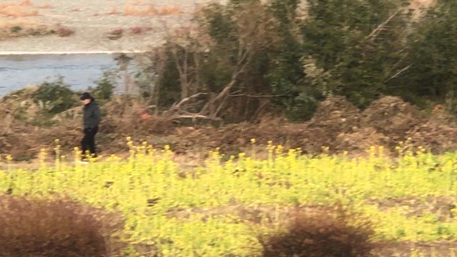 新年の記事動画