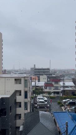 滅多に雪が降らない地域での降雪〜雪の日、あなたの心はワクワク？ドキドキ？〜の記事動画