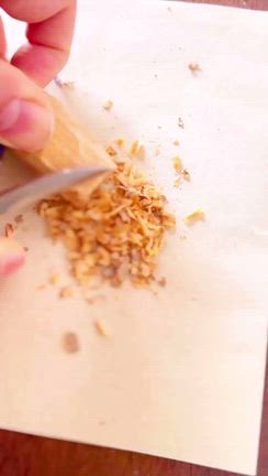 波動を込めての記事動画