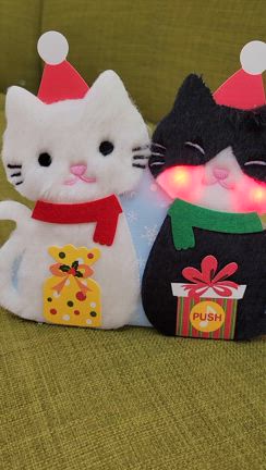 クリスマス(^o^)の記事動画