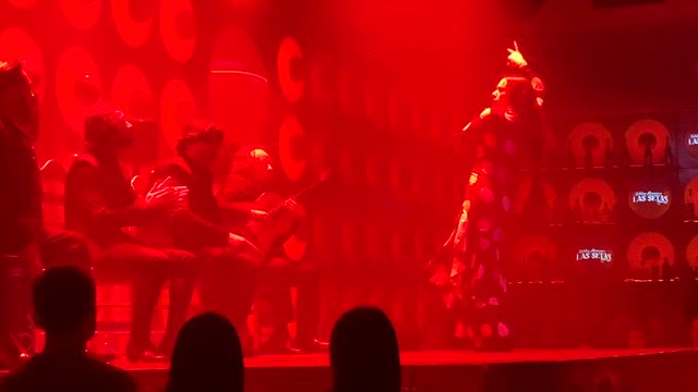 スペイン滞在記2025 その13の記事動画