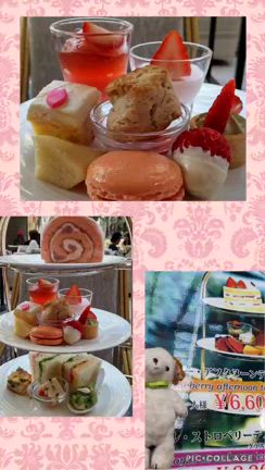 姉と母との記事動画