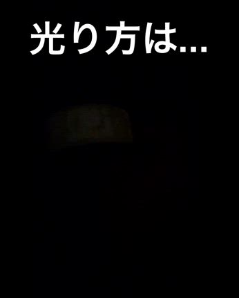 秋の犬との散歩に潜む《危険》と守り方。の記事動画