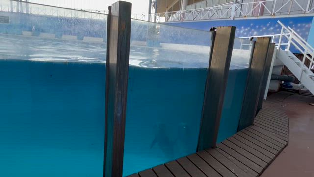 ☆スピリチュアルな出逢いと最強ヒーリング☆の記事動画