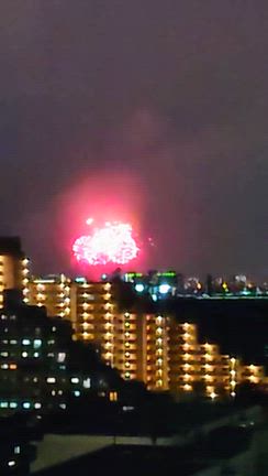 文博からの晴明桔梗と、た〜ま〜や〜。の記事動画