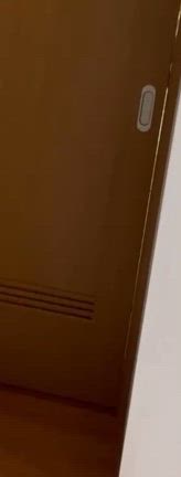 ドアの向こうをウロウロする光の正体。の記事動画