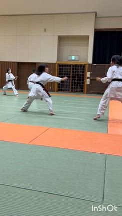 2025/12/12の記事動画