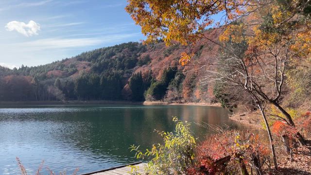 出演！『HiHi JetsのHiしか言いません』テレビ東京・料理対決の記事動画