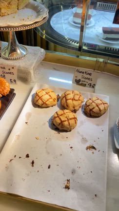 開放感のあるおしゃれ倉庫カフェVINTAGE38！の記事動画