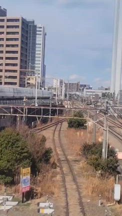 2025/02/07の記事動画