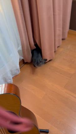 カーテンがベリベリになる理由の記事動画