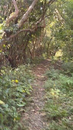 摩擦ゼロの暮らし「スーパーサプリ」の記事動画